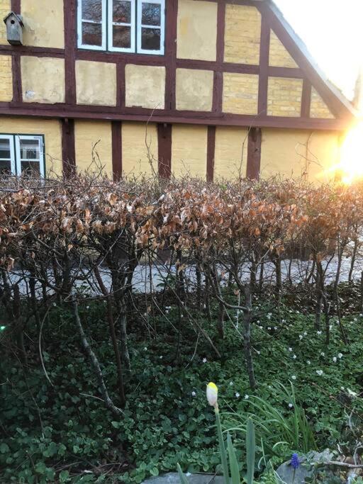 Idyllisk, Historisk Byhus Ved Fjorden I Mariager エクステリア 写真